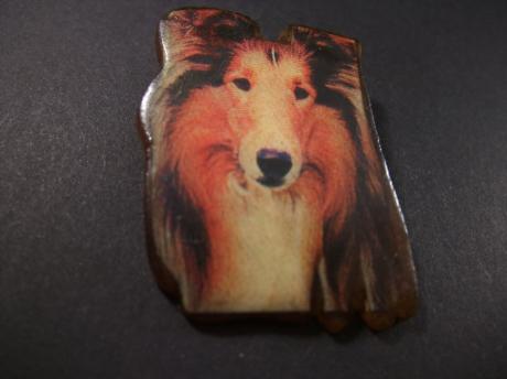 Schotse Collie (Schotse herdershond) houten speld